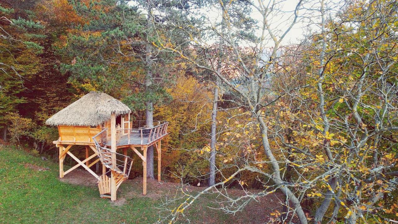Hotel Pine Point Trenczyńskie Cieplice Zewnętrze zdjęcie
